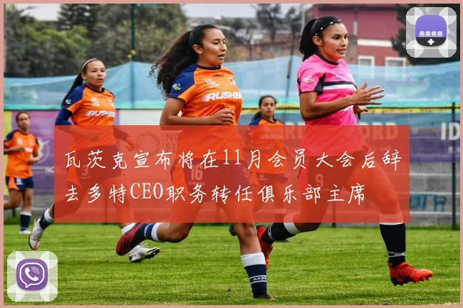 瓦茨克宣布将在11月会员大会后辞去多特CEO职务转任俱乐部主席