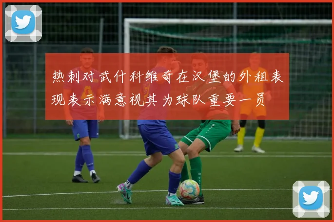 热刺对武什科维奇在汉堡的外租表现表示满意视其为球队重要一员