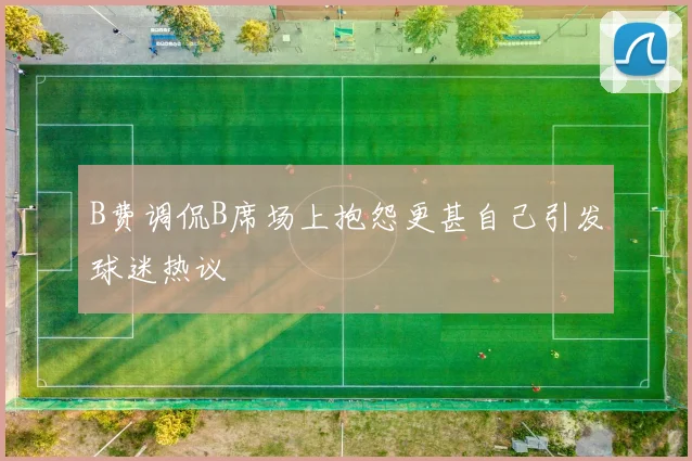 B费调侃B席场上抱怨更甚自己引发球迷热议