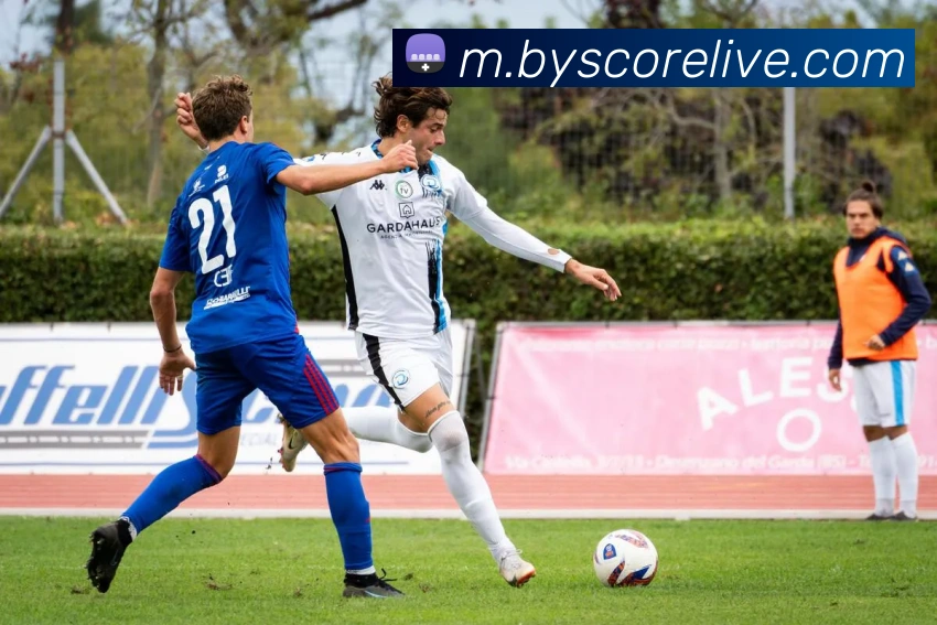 博亚体育APP 封面图